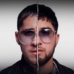 Los Gemelos De Sinaloa
