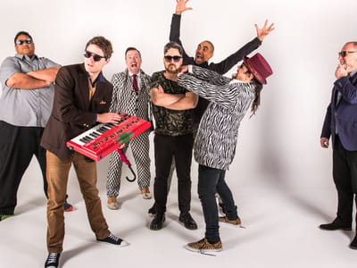 FAT FREDDY'S DROP