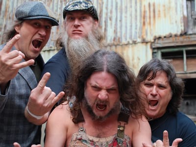 Hayseed Dixie