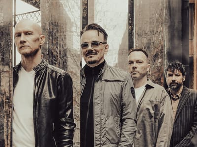 The Pineapple Thief